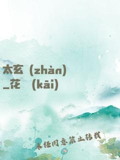 太玄戰(zhàn)記