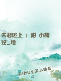 夫君追上門：甜寵小萌妃