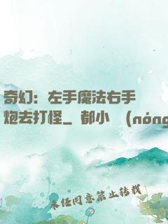 奇幻：左手魔法右手槍炮去打怪