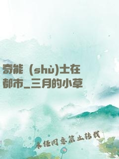 奇能術(shù)士在都市