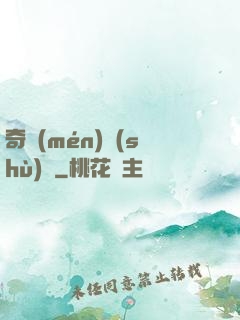 奇門(mén)術(shù)師