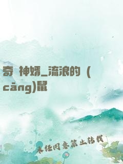 奇門神婿