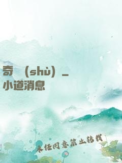 奇門術(shù)師