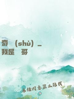 奇門術(shù)師