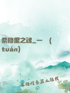奈格里之魂