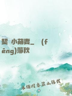 契約小萌妻