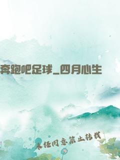 奔跑吧足球