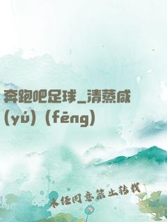 奔跑吧足球