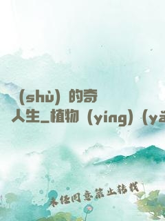奧術(shù)師的奇異人生