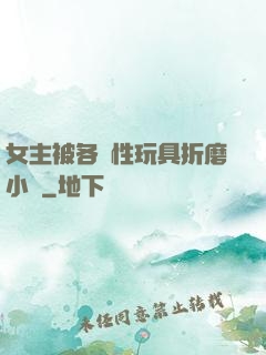 女主被各種性玩具折磨小說