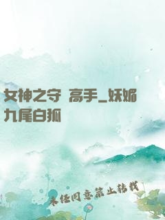 女神之守護高手