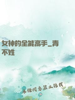 女神的全能高手