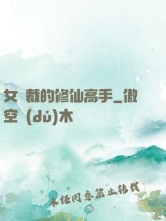 女總裁的修仙高手