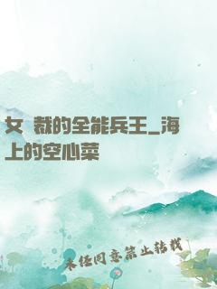 女總裁的全能兵王
