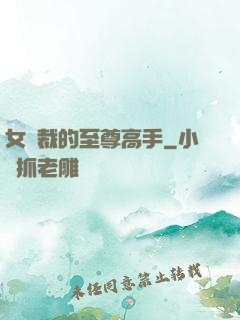 女總裁的至尊高手