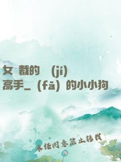 女總裁的頂級(jí)高手