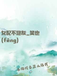 女配不炮灰