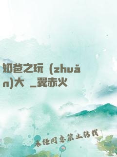 奶爸之玩轉(zhuǎn)大眾