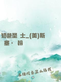 奶爸圣騎士