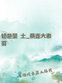 奶爸圣騎士