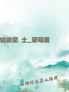 奶爸圣騎士