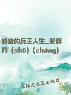 奶爸的兵王人生