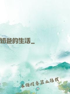 奶爸的生活