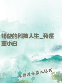 奶爸的科技人生