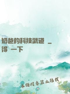奶爸的科技武道館