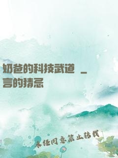 奶爸的科技武道館