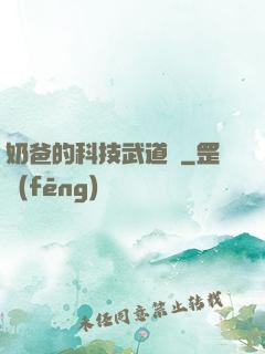 奶爸的科技武道館