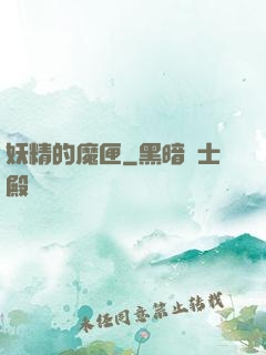 妖精的魔匣