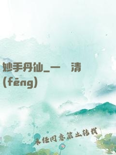 妙手丹仙