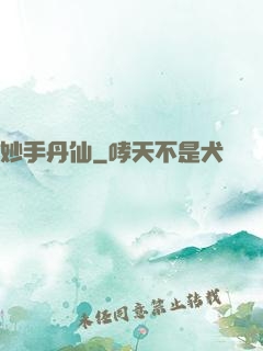 妙手丹仙