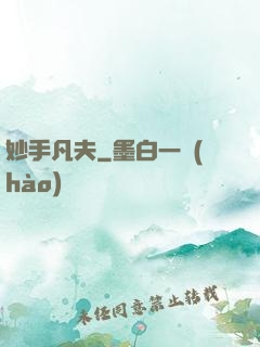 妙手凡夫