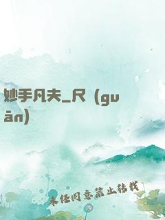 妙手凡夫