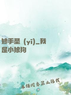 妙手圣醫(yī)