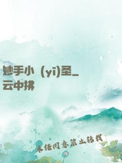 妙手小醫(yī)圣