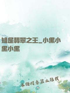 姐是翡翠之王