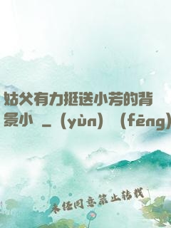 姑父有力挺送小芳的背景小說