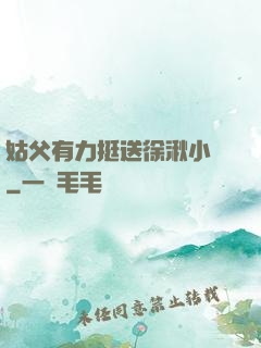 姑父有力挺送徐湫小說