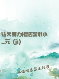 姑父有力挺送徐湫小說