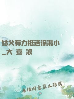 姑父有力挺送徐湫小說