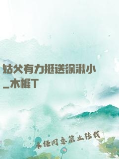 姑父有力挺送徐湫小說