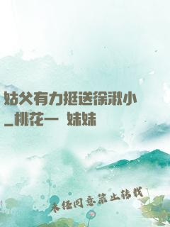 姑父有力挺送徐湫小說