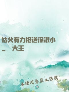 姑父有力挺送徐湫小說