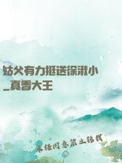 姑父有力挺送徐湫小說