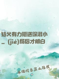 姑父有力挺送徐湫小說