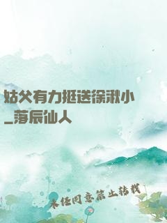 姑父有力挺送徐湫小說