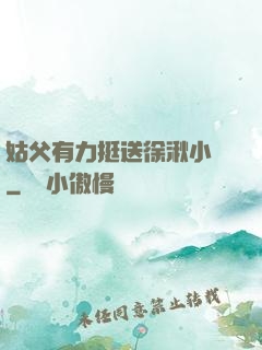 姑父有力挺送徐湫小說